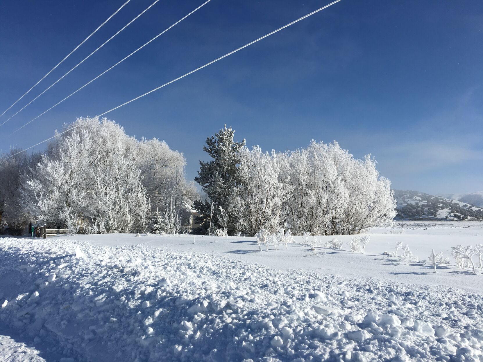 Anne Olorenshaw - Caribou County (Feb. 18, 2020)